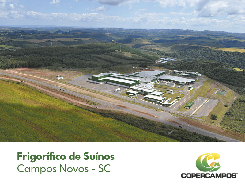 Coopercampos-2
