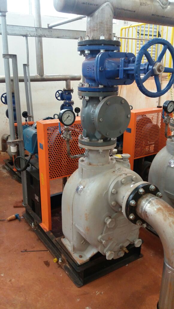 WhatsApp Image 2017-11-10 at 16.50.23